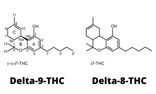 Delta 8 Cette Molecule Proche Du Thc 
